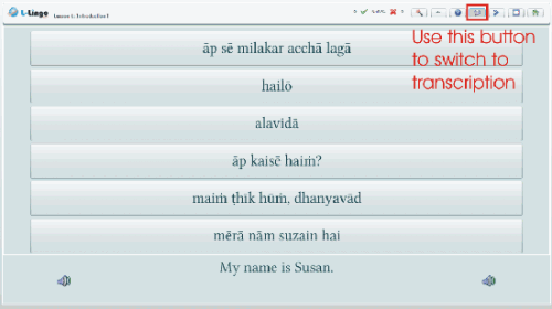 dino lingo hindi for sale