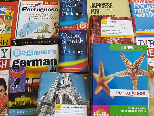 Language Learning Dictionaries