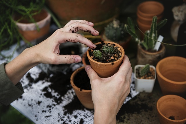 Tactile Language Learning