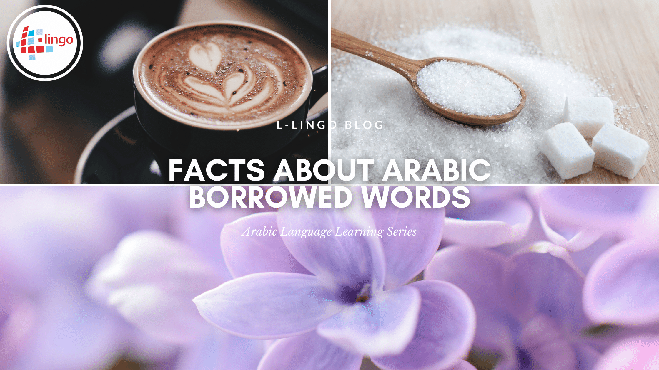 Facts About Arabic L-Lingo Blog: Borrowed Words
