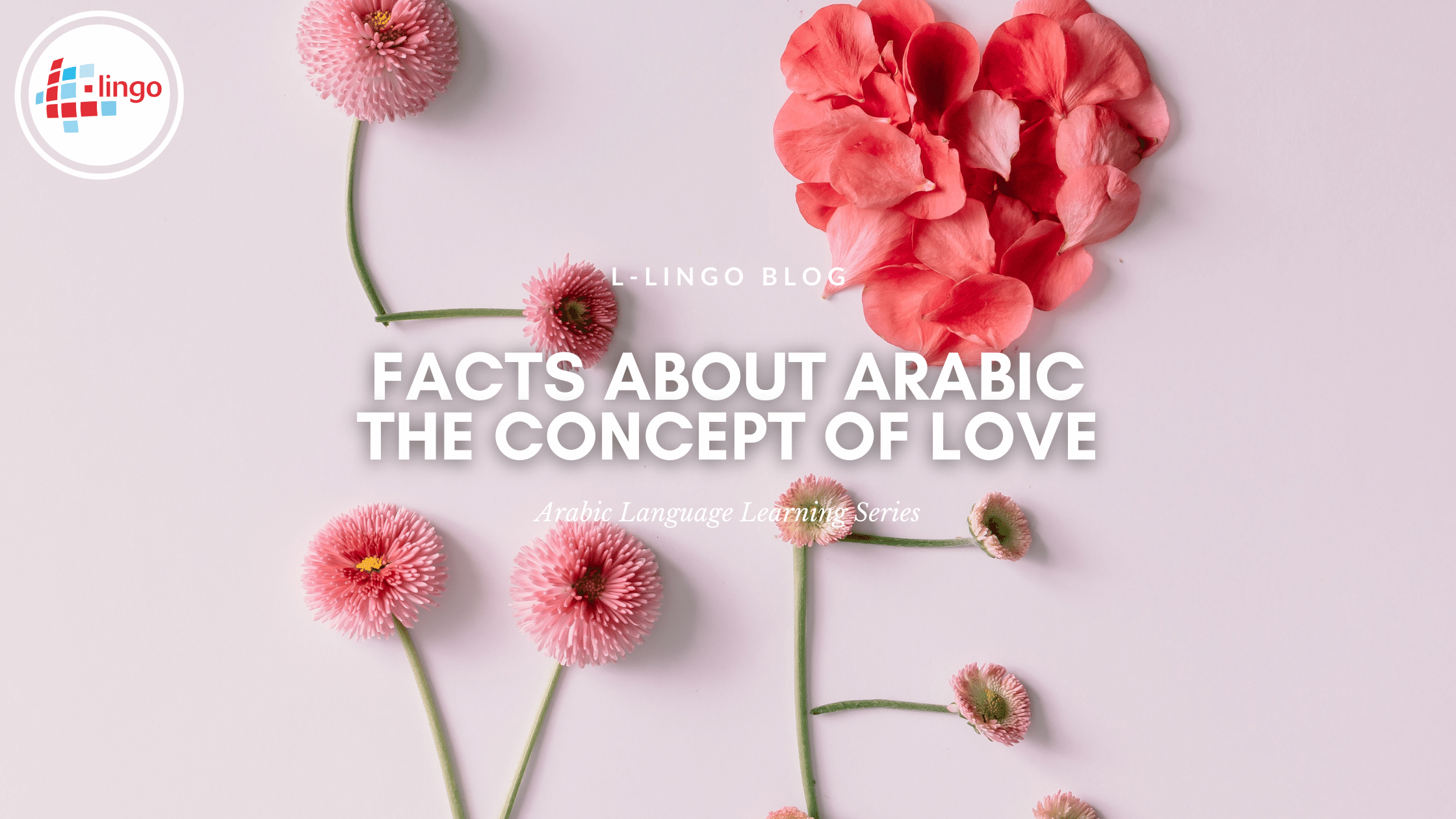 Facts About Arabic The Concept Of Love L-Lingo Blog